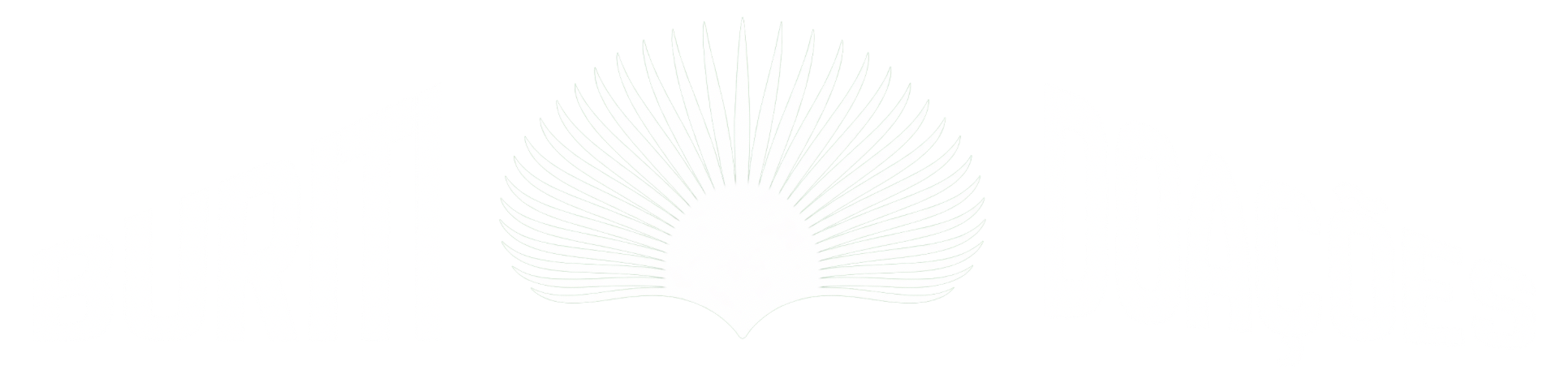 BURITI DOAÇÕES